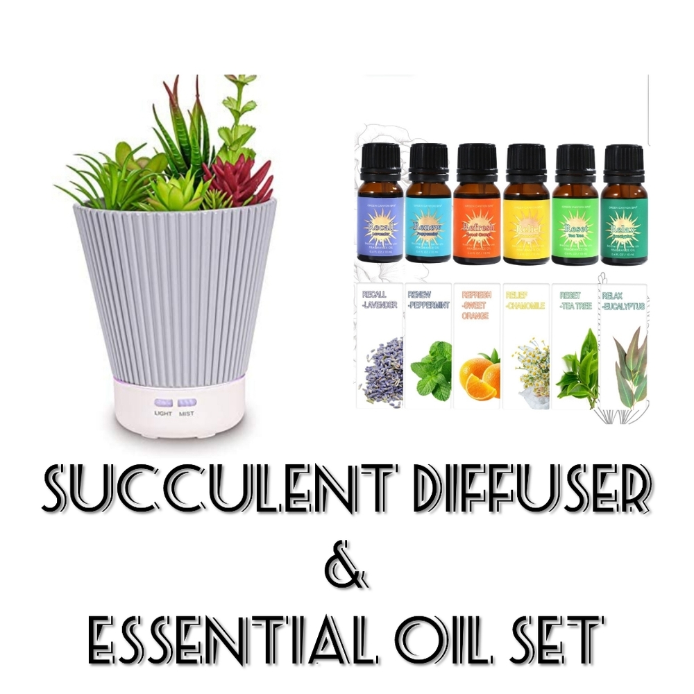 Succulent Diffuser and essential oil set